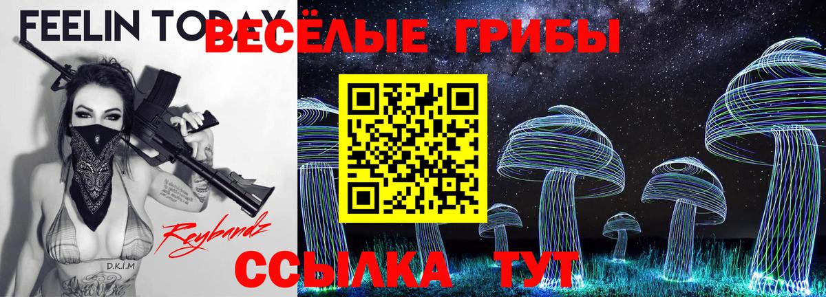 Асбест  купить наркотик  Вход с VPN  Галлюциногенные грибы Cubensis 